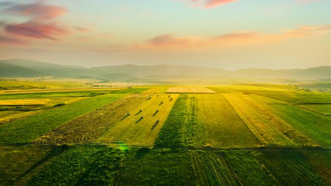 Aerial view of sunset over agricultural fields