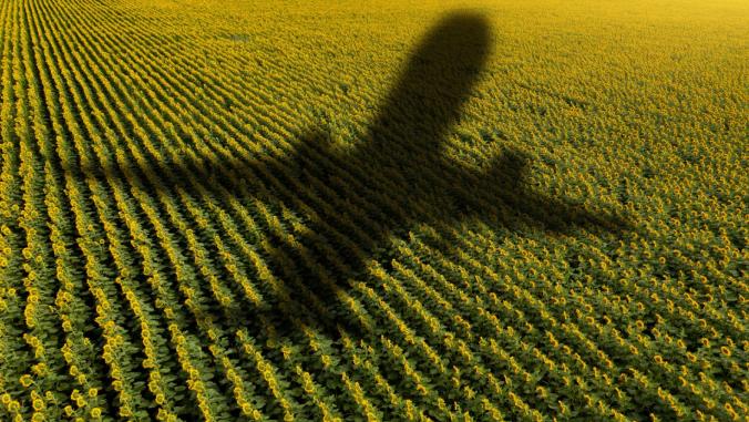 A jet's shadow over a field.