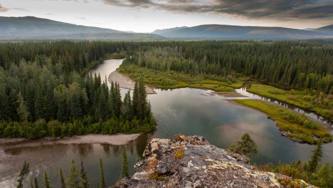 Boreal forest wilderness in McQuesten River valley in central Yukon Territory, Canada