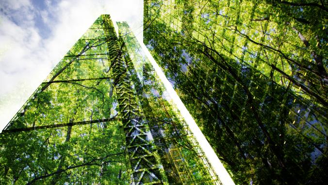 A picture of two glass skyscrapers with a forest reflecting through the glass.