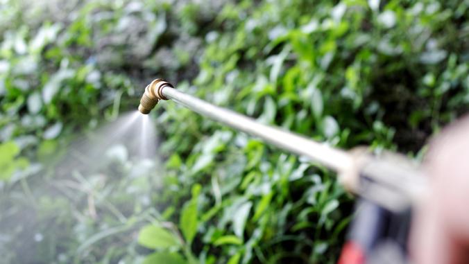 a nozzle spraying weed killer