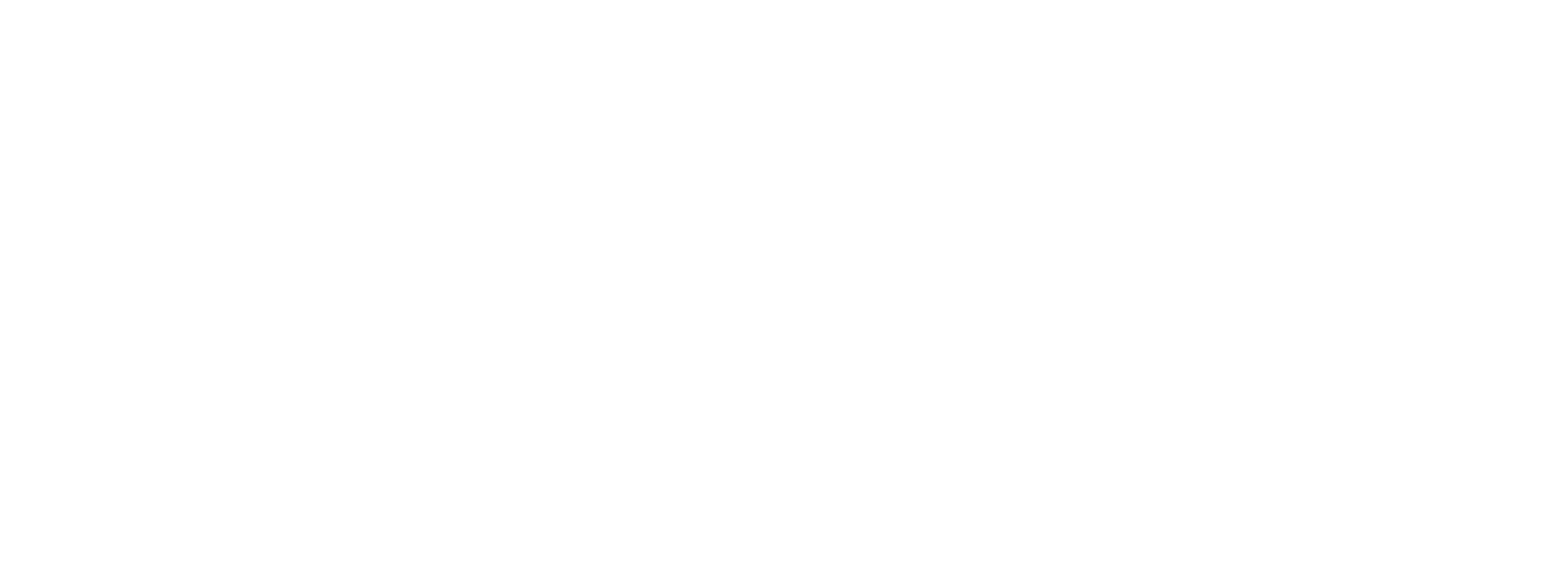 enel white logo